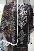 PAKISTHANI SET 2
